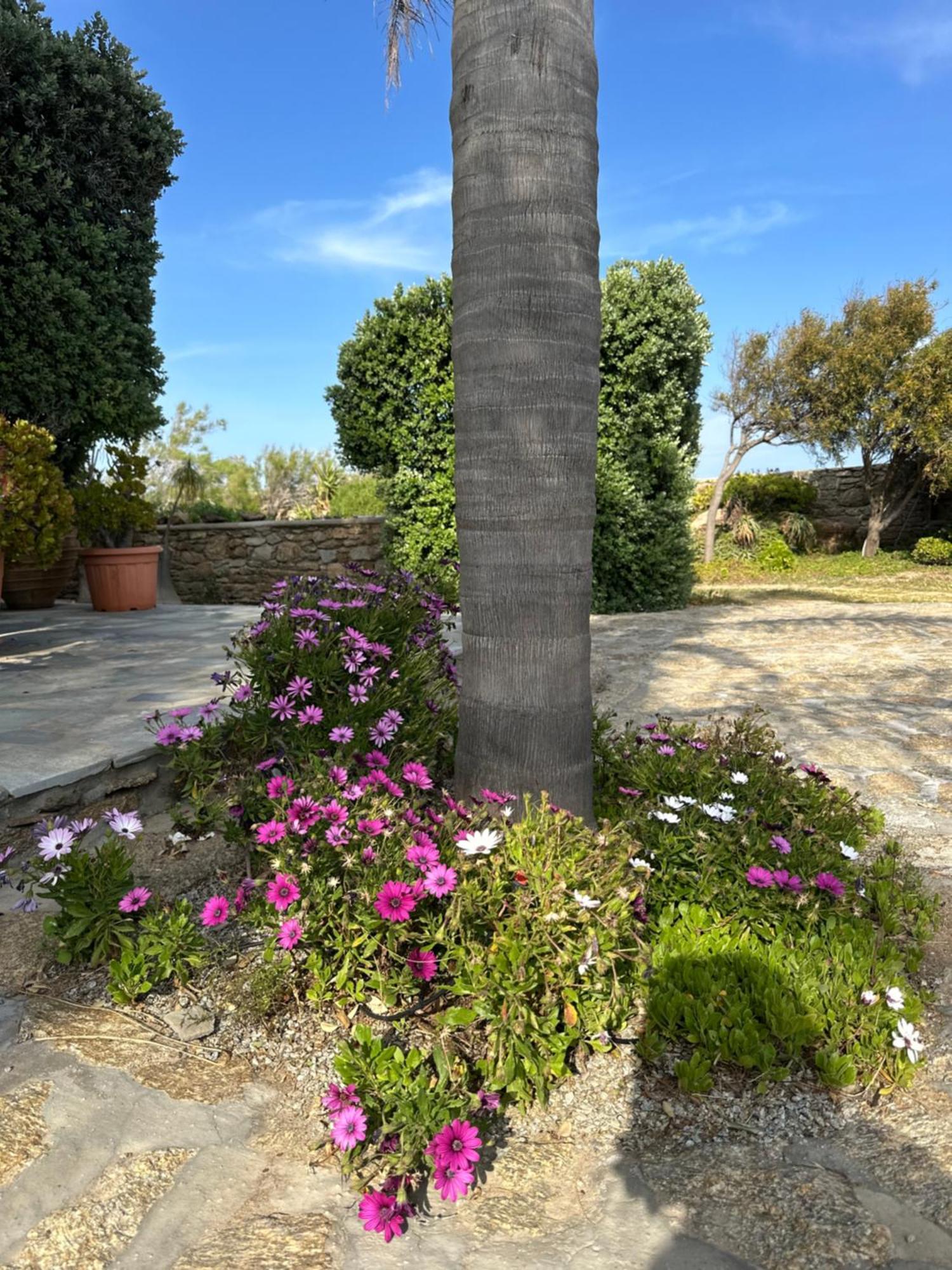 Divers House Agrari  Екстериор снимка