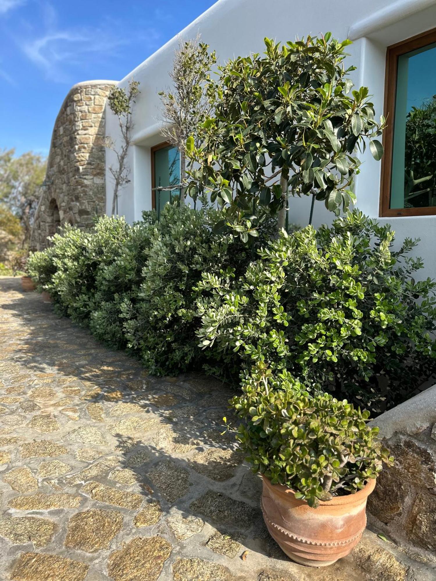 Divers House Agrari  Екстериор снимка